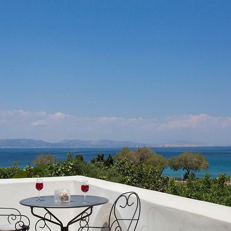 Aneli Luxury Villas-Villa Aegina Exteriör bild
