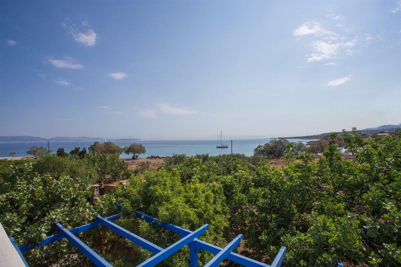 Aneli Luxury Villas-Villa Aegina Exteriör bild